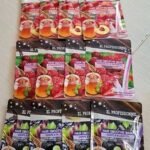 XL Professionnel Hair Smoothie Mask Sachet 25gr